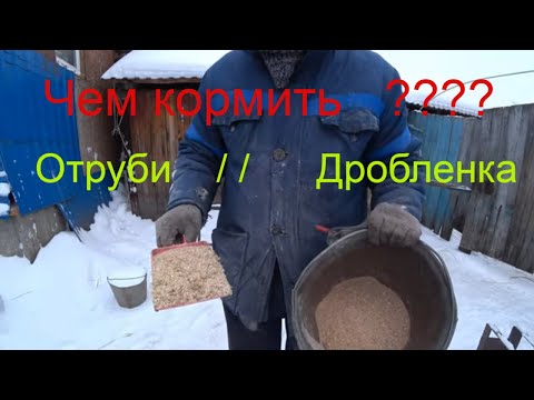 Видео: купил отруби зачем??