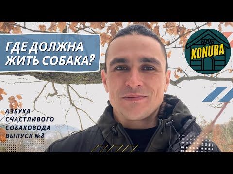 Видео: Где должна жить собака? Азбука счастливого собаковода. Выпуск 3
