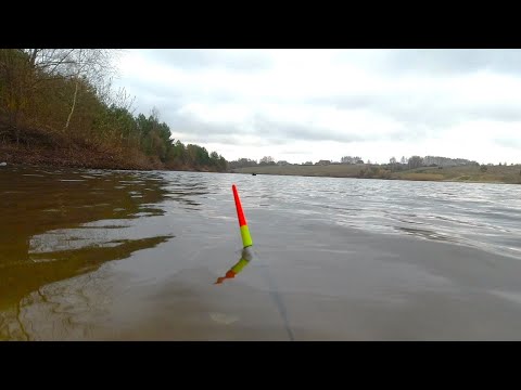 Видео: ПЕРВАЯ РЫБАЛКА НА КАРАСЯ В АПРЕЛЕ!
