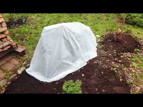 Видео: Мой дачный сезон 2025 закрыт! 