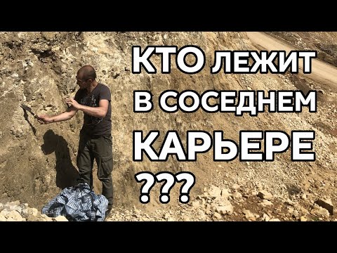 Видео: Доказательство потопа у нас под ногами: тонны окаменелой органики в одном тонком слое!