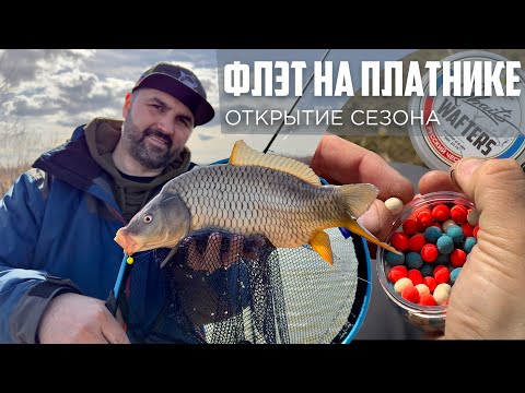 Видео: Секреты Успешной Рыбалки на платнике весной