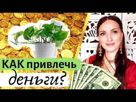 Видео: 💲 💰🍀РАСТЕНИЕ для привлечения ДЕНЕГ и БОГАТСТВА I Васту 💲💰🧲🌾 10 преимуществ