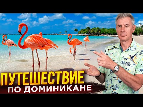 Видео: СЕКРЕТНЫЙ УГОЛОК ДОМИНИКАНЫ О КОТОРОМ ПОКА МОЛЧАТ...
