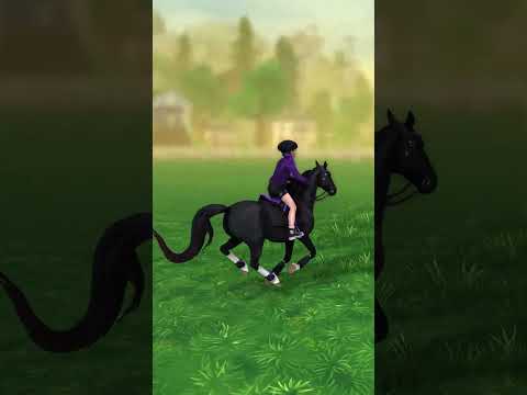 Видео: Великолепный прыжок 😎  #лошади #starstable