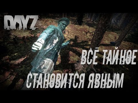 Видео: Интересные факты и Пасхалки DayZ