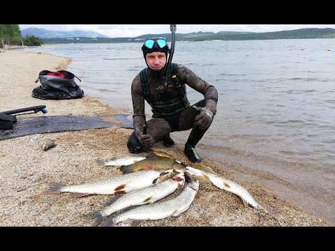 Видео: Казахстан, озеро Щучье!