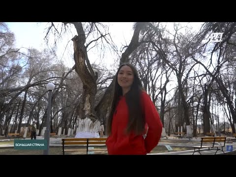 Видео: В селе Аулиеагаш растёт священное дерево старше 700 лет | Большая cтрана