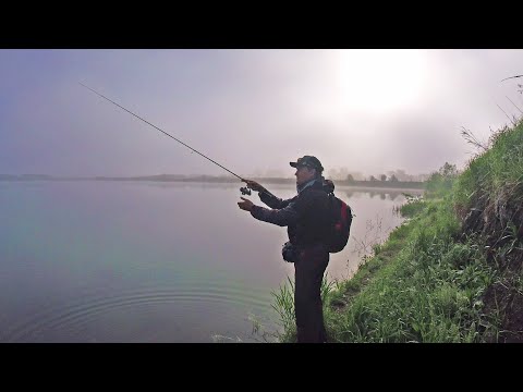 Видео: Простая рыбалка даёт полезный опыт! Окунь на микроджиг После самоизоляции