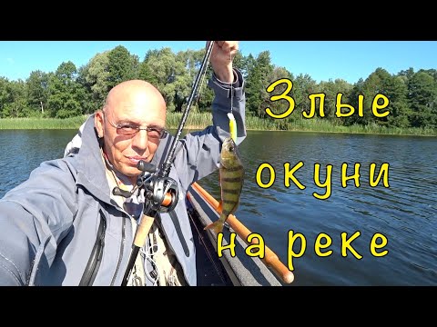 Видео: Рыбалка ВОБЛЕРАМИ на р.Воронеж.