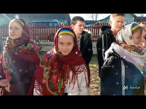 Видео: Привітання із Новим роком від п'ятикласників