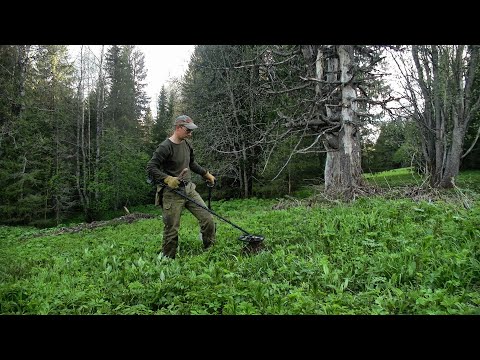 Видео: Кладоискательский поход в заброшенную деревню / 2 часть #419
