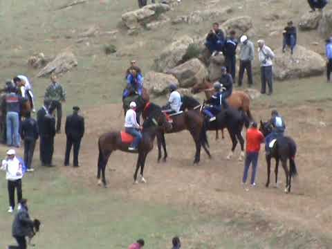 Видео: Конные скачки в с. Ансалта, май 2012 г.