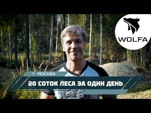 Видео: Как мы 20 соток леса за один день расчистили!
