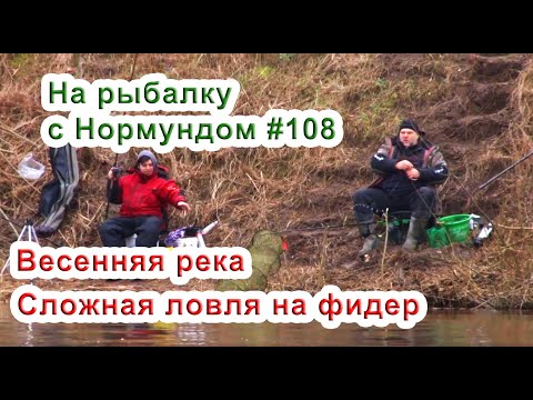 Видео: Весенняя река и сложная ловля на фидер / На рыбалку с Нормундом #108