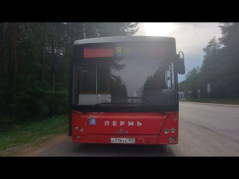Видео: Пермь автобусный маршрут №12 АО "ПЗСП" - ДК Имени Гагарина МАЗ-206.086 ООО "Дизель"