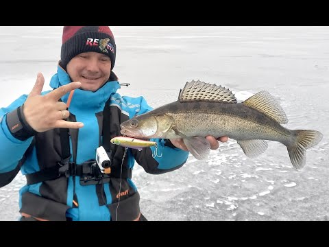 Видео: Летающие судаки на Куйбышевском . Фильм второй.