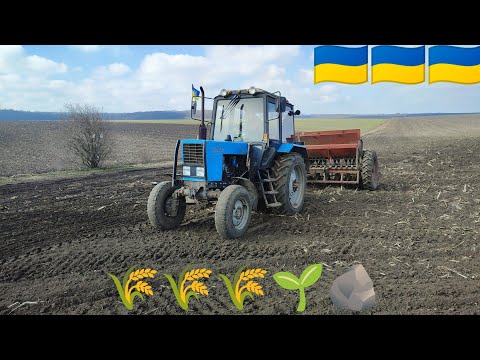 Видео: ПОСІВ ЯРОЇ ПШЕНИЦІ 2023.