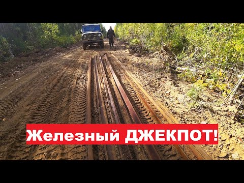 Видео: СОРВАЛИ ДЖЕКПОТ! Два дня-две ТОННЫ! Дорога открыта! Лежка МЕДВЕДЯ на пороге ИЗБЫ.