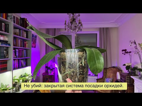 Видео: Полив закрытой системы и история знакомства с Эльвирой Набиуллиной