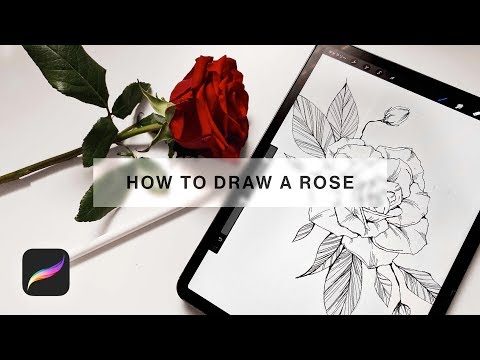 Видео: Рисуем розу на iPad за 5 минут【Procreate】