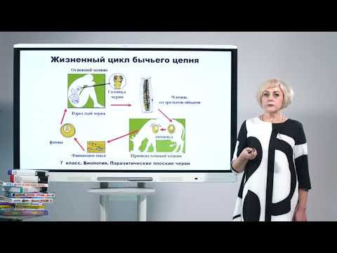 Видео: 7 класс. Биология. Паразитические плоские черви