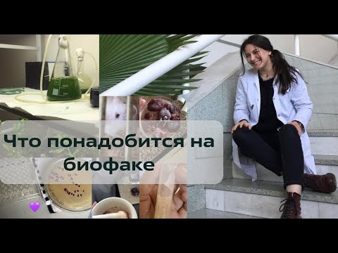 Видео: Что купить первокурснику биофака?