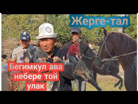 Видео: Мураттын улагы