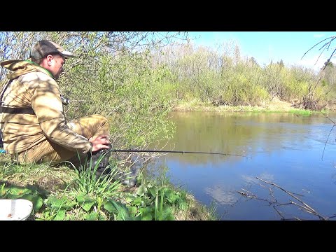Видео: Ловлю на Боковой кивок  Плотва, Елец