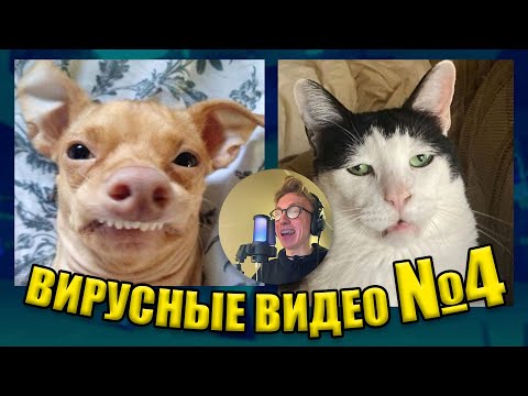 Видео: ВИРУСНЫЕ ВИДЕО / Подборка смешные моменты №4