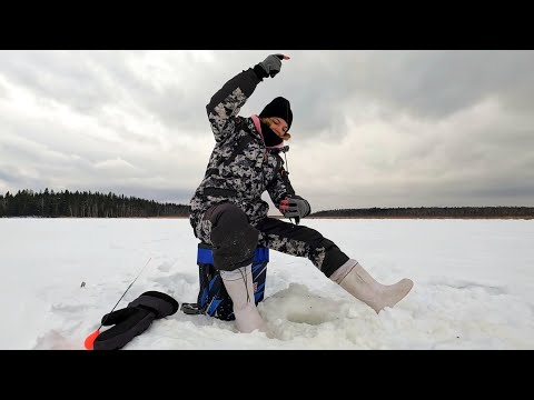 Видео: ЗИМНЯЯ РЫБАЛКА В ГЛУХОЗИМЬЕ. Ищу и ловлю окуня со льда. Тестирую новый фонарь.