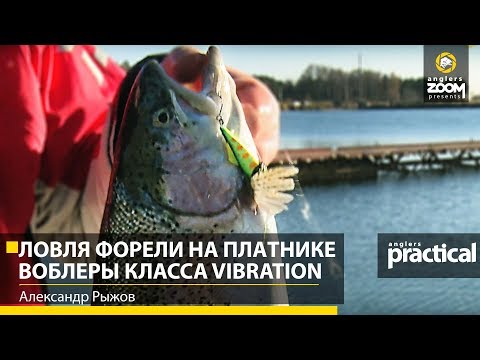 Видео: Ловля форели на платнике. Воблеры класса vibration. Александр Рыжов. Anglers Practical