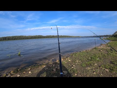 Видео: КОРОТКИЕ ПОВОДКИ на ЛЕЩА - так ОНИ НЕ ПУТАЮТСЯ! МОИ СЕКРЕТЫ(ВАЖНОЕ) В ЛОВЛЕ ЛЕЩА НА ДОНКИ!