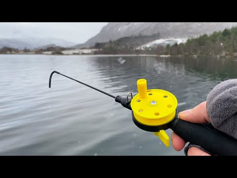 Видео: НАЖИВИЛ КРЕВЕТКУ на ЗИМНЮЮ УДОЧКУ И… Зимняя рыбалка в Норвегии