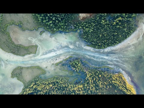 Видео: ПУТЬ ВОДЫ! КРОКОДИЛЫ ТУВЫ 2022 (Фильм целиком)