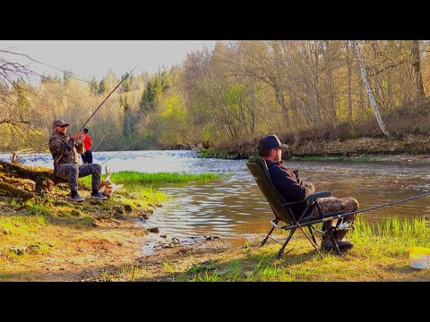 Видео: Рыбалка с ночёвками на лесной реке с водопадом. Костёр, поход, донки, спиннинг. Весенний сезон. улов