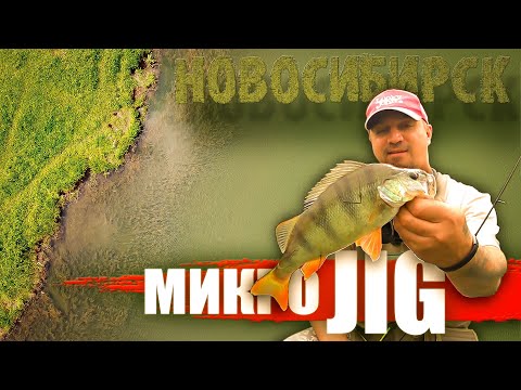 Видео: ОКУНЬ на МИКРОДЖИГ / Рыбалка в НОВОСИБИРСКЕ.