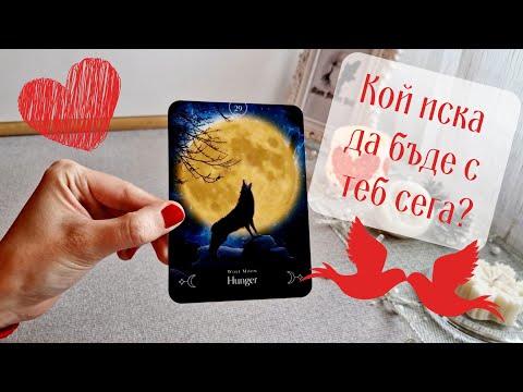 Видео: 🙀💥❤️‍🔥Кой иска да бъде с теб сега, кой мисли за теб днес?❤️‍🔥💥🙀