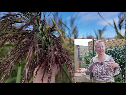 Видео: KNITTING & RETREAT: Где найти такую пряжу?