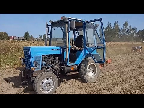 Видео: Трактор сам копает картошку самодельный мини МТЗ