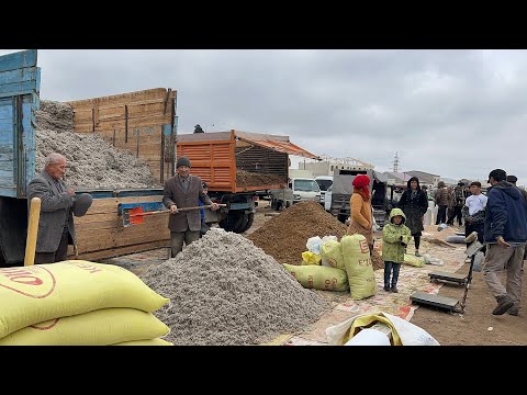 Видео: ХОРАЗМ ЕМ ХАШАК НАРХЛАРИ КУНЖАРА КЕПАК ШРОТ ШУЛХА САМОН БЕДА ЯНГИ НАРХЛАР !!! XORAZM SAVDO