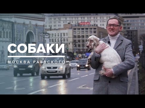 Видео: СОБАКИ | История Москвы - Москва Раевского