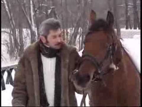 Видео: Видеоклип Дмитрия Бузылева