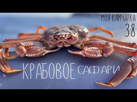 Видео: Моя Камчатка 38 серия | Крабовая рыбалка в Тихом океане