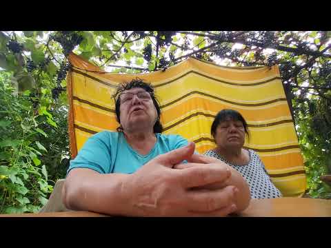 Видео: Вот как я генералю  доски.☕️💋
