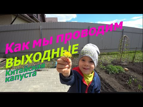 Видео: Сажаем ПАК-ЧОЙ впервые! КАК МЫ ПРОВОДИМ ВЫХОДНЫЕ.