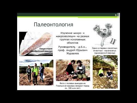 Видео: Кафедра биологической эволюции