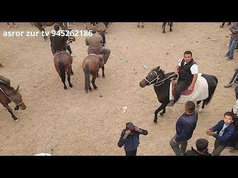 Видео: ЧИРОҚЧИ ТУМАНИ БЕШЧАШМАДА КАТТА КУПКАРИ