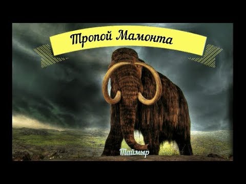 Видео: Бивни Мамонта!!!!