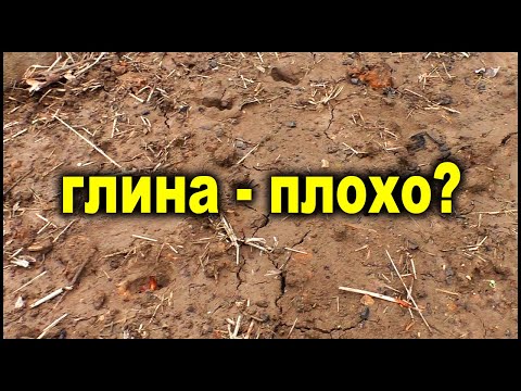 Видео: Самая лучшая почва - глина!